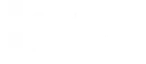 Partner 2
